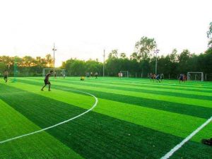 Cách giữ tuổi thọ của sân bóng cỏ nhân tạo hiệu quả (2)