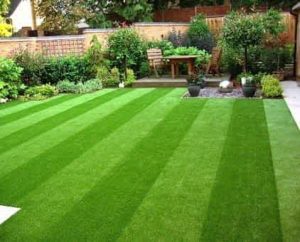 Những nguyên tắc cơ bản khi lựa chọn thảm cỏ nhân tạo để lót sàn nhà