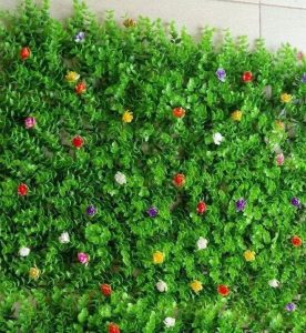 Các mẫu cỏ nhân tạo treo tường phổ biến hiện nay